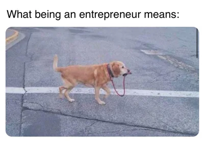 A light brown dog walking on a paved road, holding its leash in its mouth while wearing a collar.